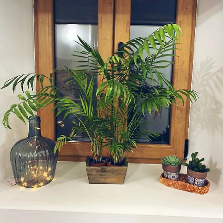 Lägenhet La Trastienda De Matilde *