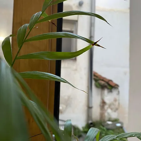 Lägenhet La Trastienda De Matilde *