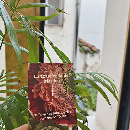 La Trastienda De Matilde * Caceres
